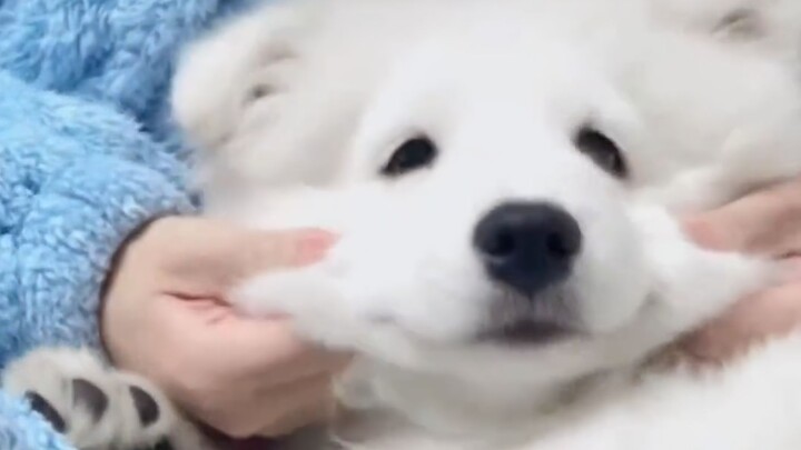 “Forever love the silly one, Yeye!”