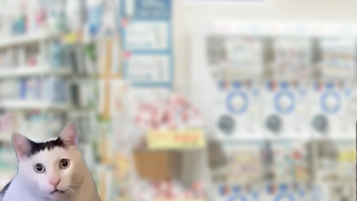 【Meme mèo】Thung lũng hy vọng và con bạc tuyệt vọng