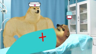 你哪来的勇气嫌弃你的老婆