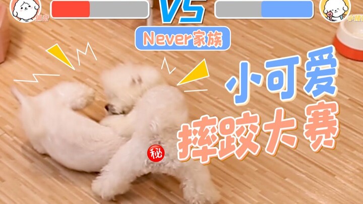 Turnamen Gulat Si Imut, Keseharian “Saling Nyindir” Keluarga Never