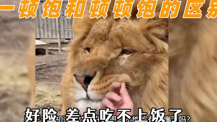 狗子短短几秒，经历多少次心理斗争