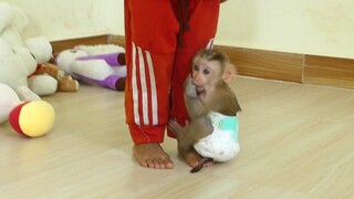 Pathetic! baby Maki fearful with brother hour because mom busy retrieve fruit not tell Both children