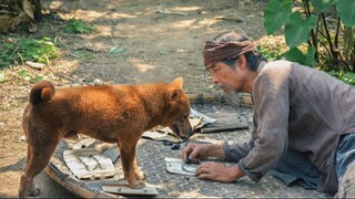 Cậu Vàng - The Old Man's Dog (2021)