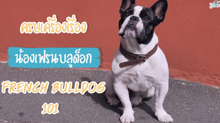 เฟรนบลูด็อก ครบเครื่องเรื่องน้องเฟรนบลูด็อก French Bulldog 101