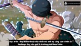 Scot Bjorklund nàng thơ - Review - Zoro Có Haki Bá Vương #anime #schooltime