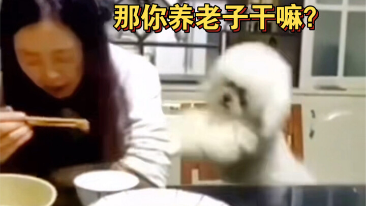 Aku membencimu seperti sebatang kayu