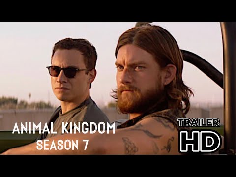 Animal Kingdom Season 7 Concept Teaser Trailer HD (2023) - Bilibili
