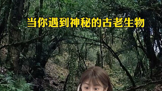 เมื่อคุณพบสิ่งมีชีวิตโบราณลึกลับ