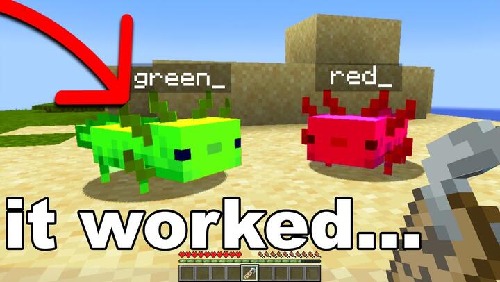 Thử Thach Sinh Tồn Minecraft 1 17 Tập 4 Xay Chuồng Cho Axolotl Dễ Thương Bilibili