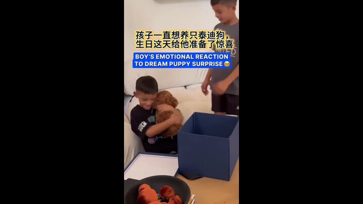 พอของขวัญวันเกิดกลายเป็นลูกสุนัขตัวจริง! ฮือๆ ใจฟูสุดๆ 🥹