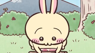 chiikawa角色日本人气排行榜揭秘！