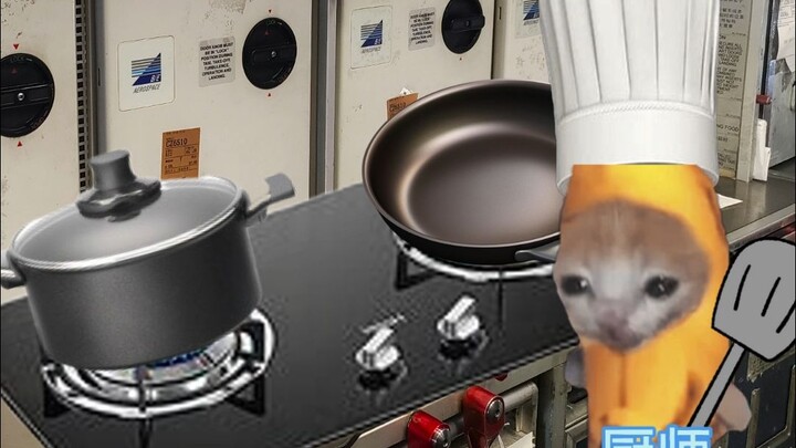 Makanan Pesawat Palsu