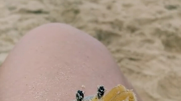Watch how the little crab cleans the sand out of its eyes!