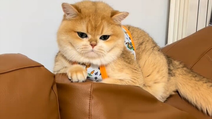 من هو اللطيف حقًا؟