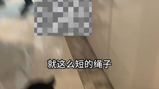 ดูแล้วรู้สึกสดชื่น