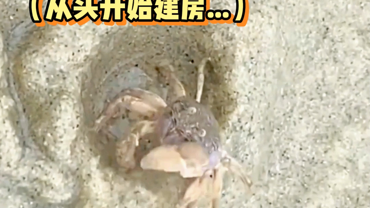 Are you really that fixated on this? If it’s not working, why don’t we try finding a different spot 