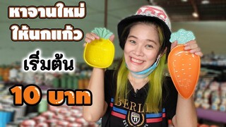 หาจานใบใหม่ให้นกแก้ว ราคาถูกมาก ที่ร้าน จ.จานใช้ดี