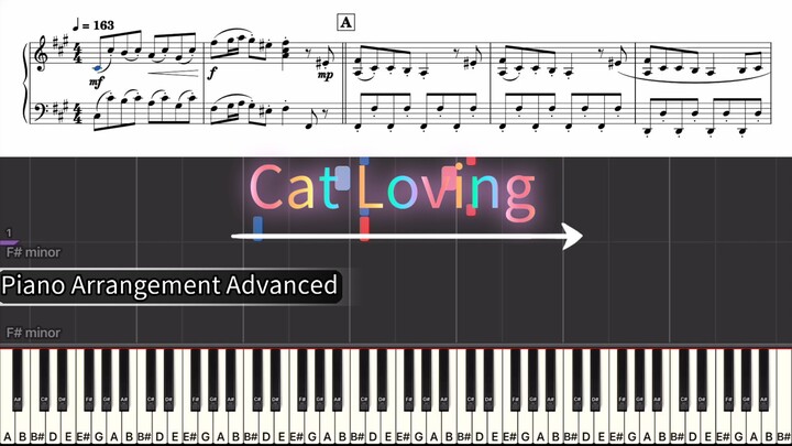 Cat Loving/ 25:00(Piano Advanced).