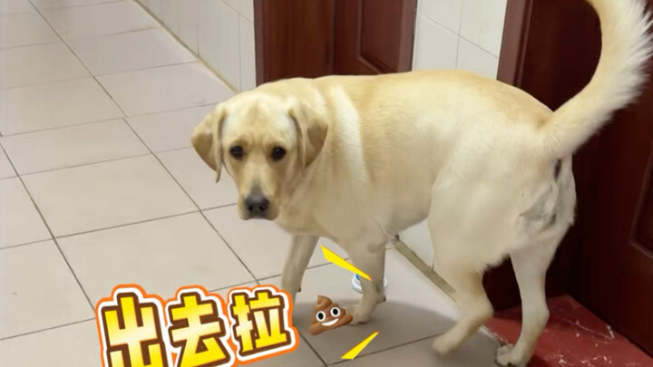 Wasn’t it dinnertime? How did it turn into toilet time?