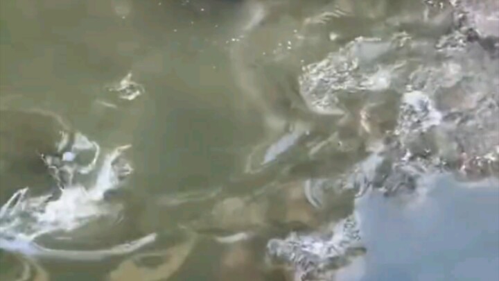 抽水，必须抽水