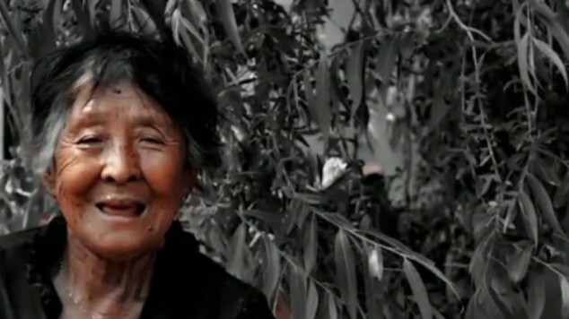 Have a good trip, Grandma Wang!