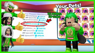 OMG! Akhirnya Aku Jadi Top Global Berkat Kerja Keras Nabung Pet Di Pet Simulator X