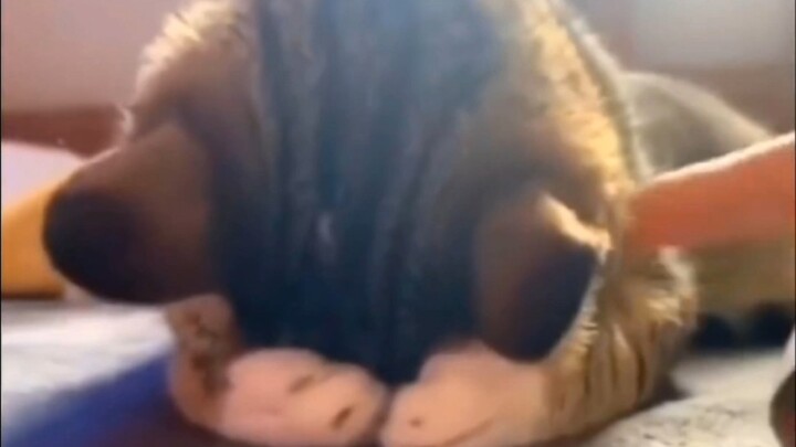 “Momo itu pelit banget, susah banget buat dibujuk”