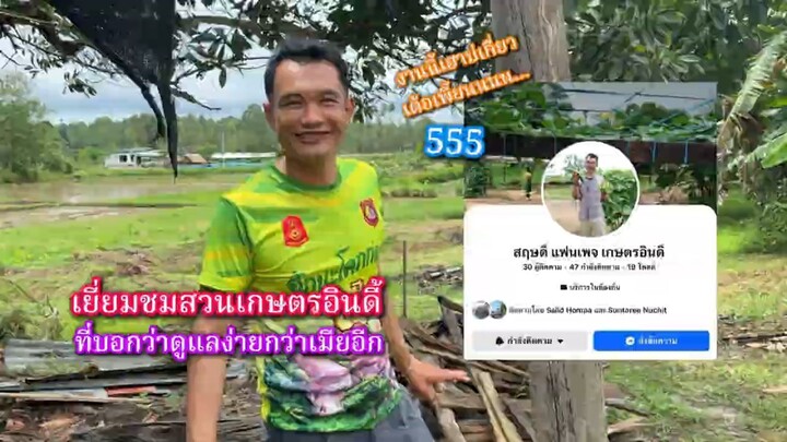 สวนเกษตรอินดี้ ที่บอกว่าดูแลง่ายกว่าเมียอีก