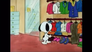 Bao loves beauty, Bao dresses up, Bao is fashionable.