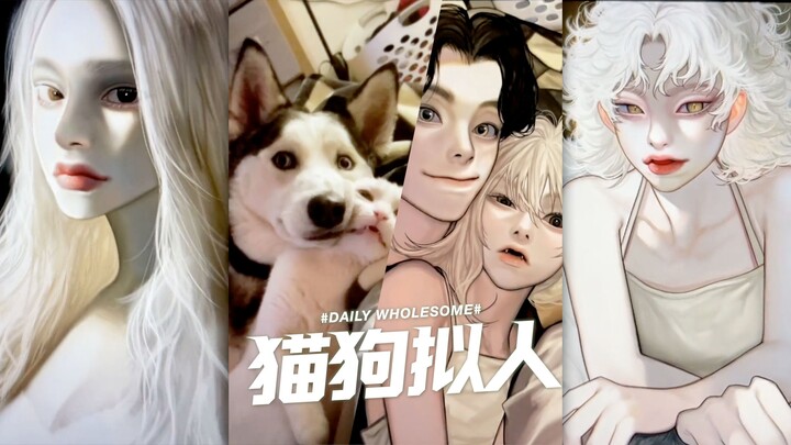 Cat and dog anthropomorphic artworks by a Korean artist