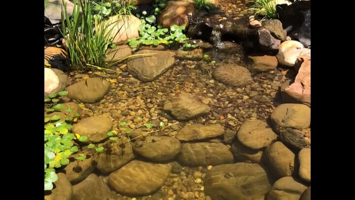 Sharing the process of making my fish pond.