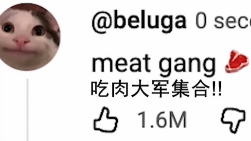 Kolom komentar para vegan biasanya seperti ini: