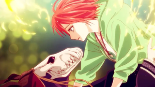 Scars to your beautiful แปลไทย🌟Mahoutsukai no Yome (AMV)❤️