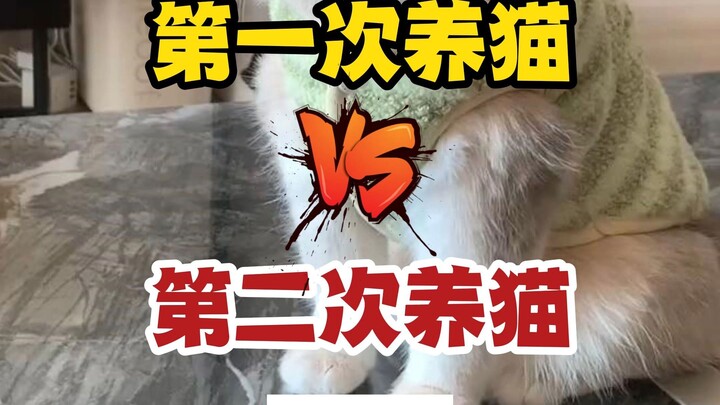 The more cats you raise, the fewer mistakes you'll make.