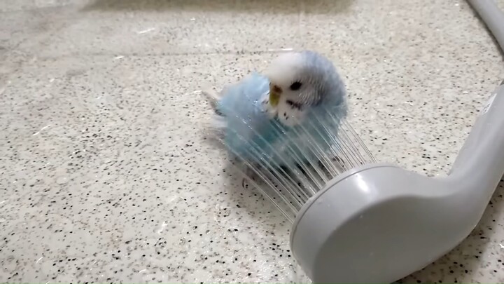 Little Cutie Who Loves to Take a Bath by Themselves