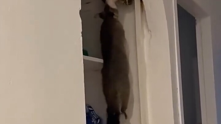 โอ้ย ตกใจจะตาย! เกิดเรื่องแบบนี้ที่บ้านเนี่ย