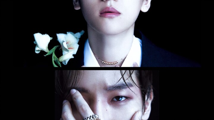 【EXO】Classic Quotes You’ve Definitely Heard: Both the White Moonlight in Your Heart and the Red Mole