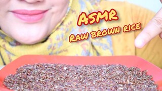 ASMR RAW RICE EATING || RAW BROWN RICE || MAKAN BERAS MERAH || porsi sedikit ASMR INDONESIA