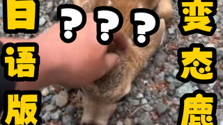 The number of abnormal fawns has increased