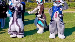 【Disko Orc Tua】 OREZ Tarik Karbon Perak