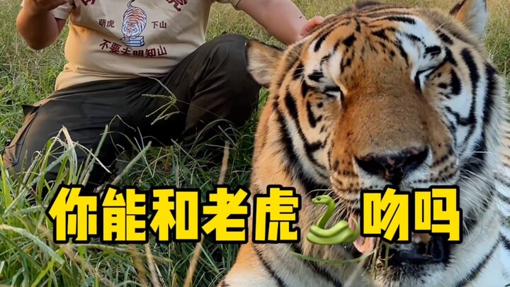 你敢问，我不敢拍系列...