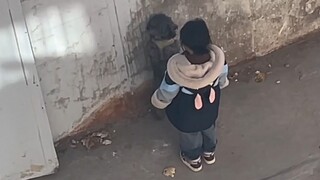 Seorang gadis kecil Tibet melatih seekor anjing sambil berkata, "Aku beri kamu kesempatan lagi." Net