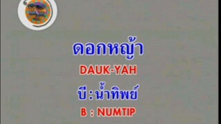 ดอกหญ้า - บี น้ำทิพย์ [MV KARAOKE/เสียงชัด 100%]