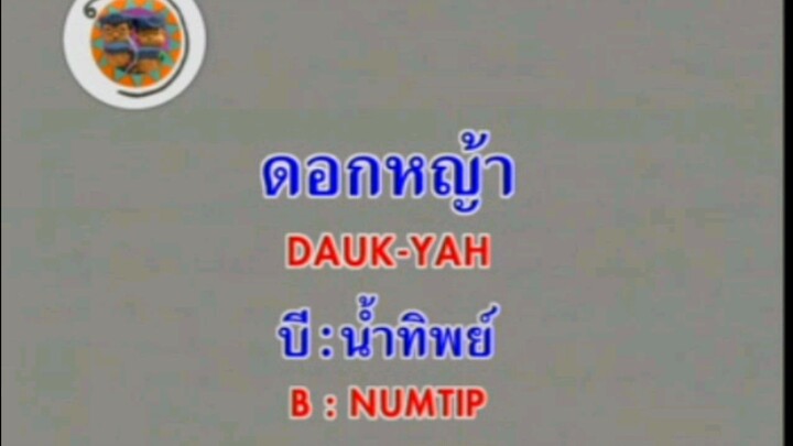 ดอกหญ้า - บี น้ำทิพย์ [MV KARAOKE/เสียงชัด 100%]