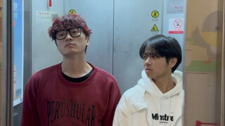 "Stupidity Aversion"