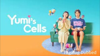 Yumi's Cells 14 Finale