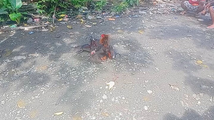Hindi rin naka porma kalaban.