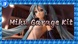 Have You Ever Seen A 42cm Miku Garage Kit?_3