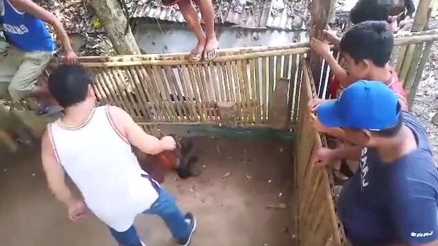 ganda nang laban panalu namn