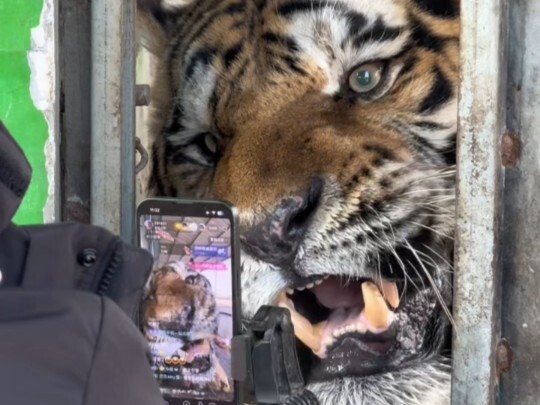 Kaisar Film Selatan sangat berdedikasi dalam mengambil adegan dari perspektif ketiga